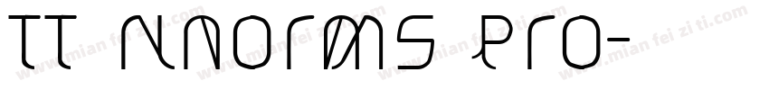 TT Nnorms pro字体转换
